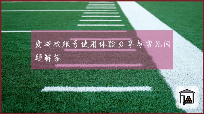 爱游戏账号使用体验分享与常见问题解答