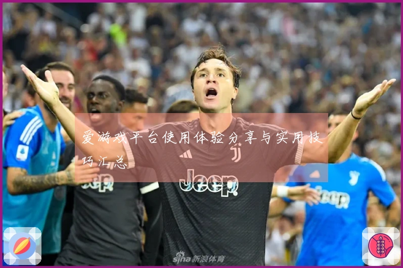 爱游戏平台使用体验分享与实用技巧汇总