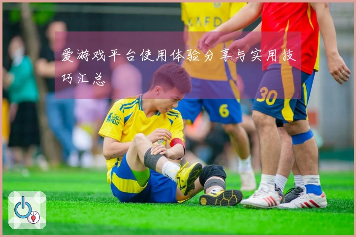 爱游戏平台使用体验分享与实用技巧汇总
