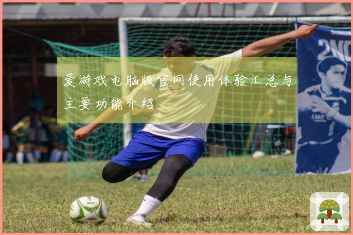 爱游戏电脑版官网使用体验汇总与主要功能介绍